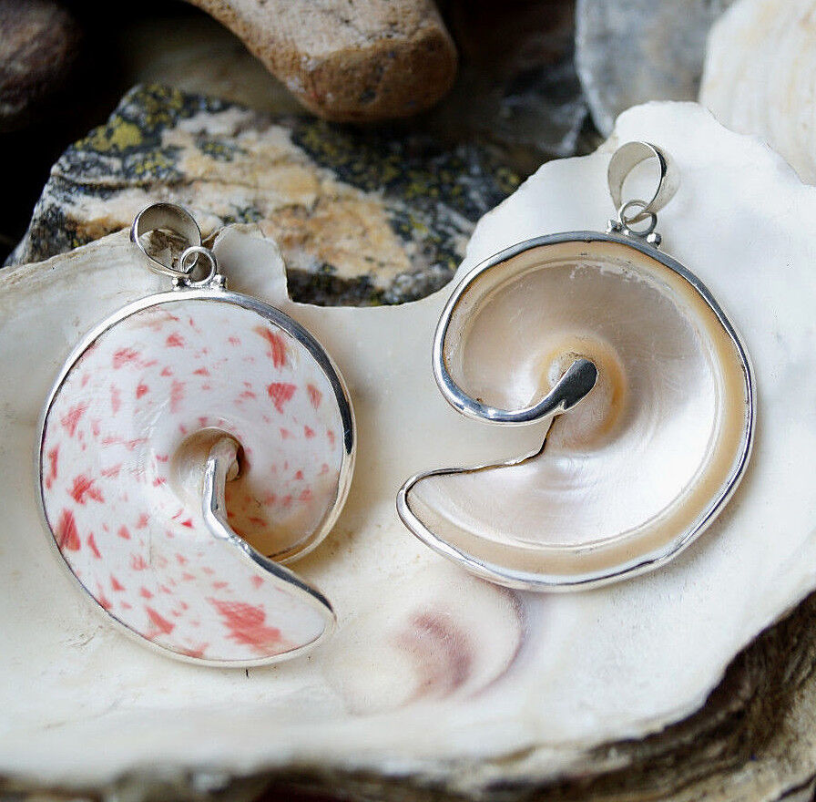 Silber Kettenanhänger 5 cm Spirale Schnecke Groß Muschel 2-Seitig Rot Weiß Gold – Bild 3