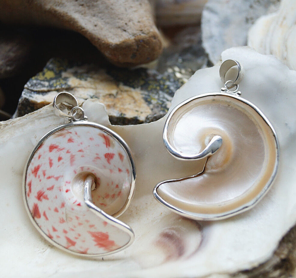 Silber Kettenanhänger 5 cm Spirale Schnecke Groß Muschel 2-Seitig Rot Weiß Gold