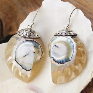 Silber Ohrhänger Nautilus Muschel Ammonit Fossil Elegant Spirale Blau Natur Bunt