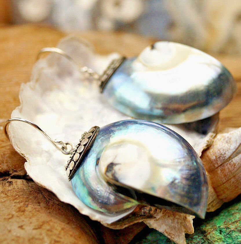 Silber Ohrhänger Nautilus Muschel Ammonit Fossil Elegant Spirale Blau Matallic – Bild 3