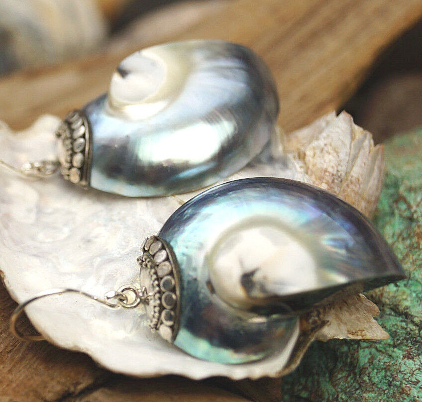 Silber Ohrhänger Nautilus Muschel Ammonit Fossil Elegant Spirale Blau Matallic – Bild 6