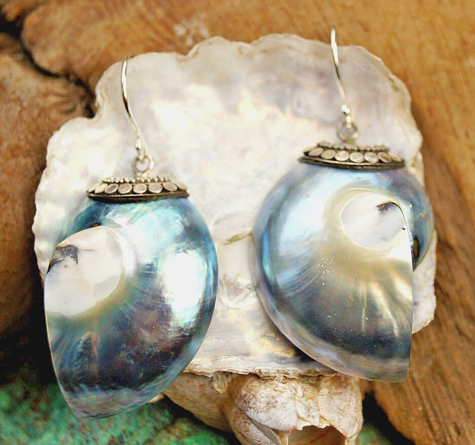 Silber Ohrhänger Nautilus Muschel Ammonit Fossil Elegant Spirale Blau Matallic