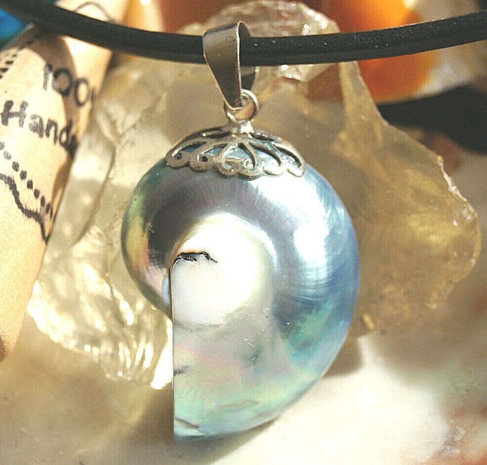 XL Kettenanhänger 925er Silber Nautilus Muschel Fossil Blau Türkis Natur Groß – Bild 8