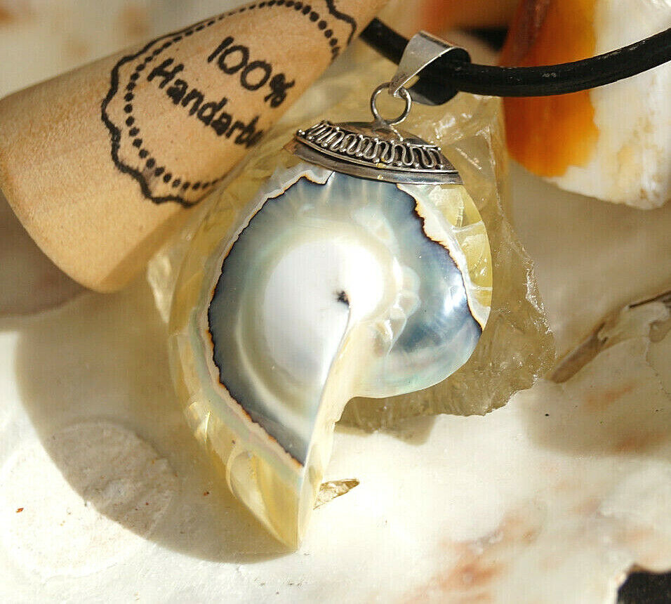 XL Kettenanhänger 925er Silber Nautilus Muschel Fossil Blau Türkis Natur Groß – Bild 9