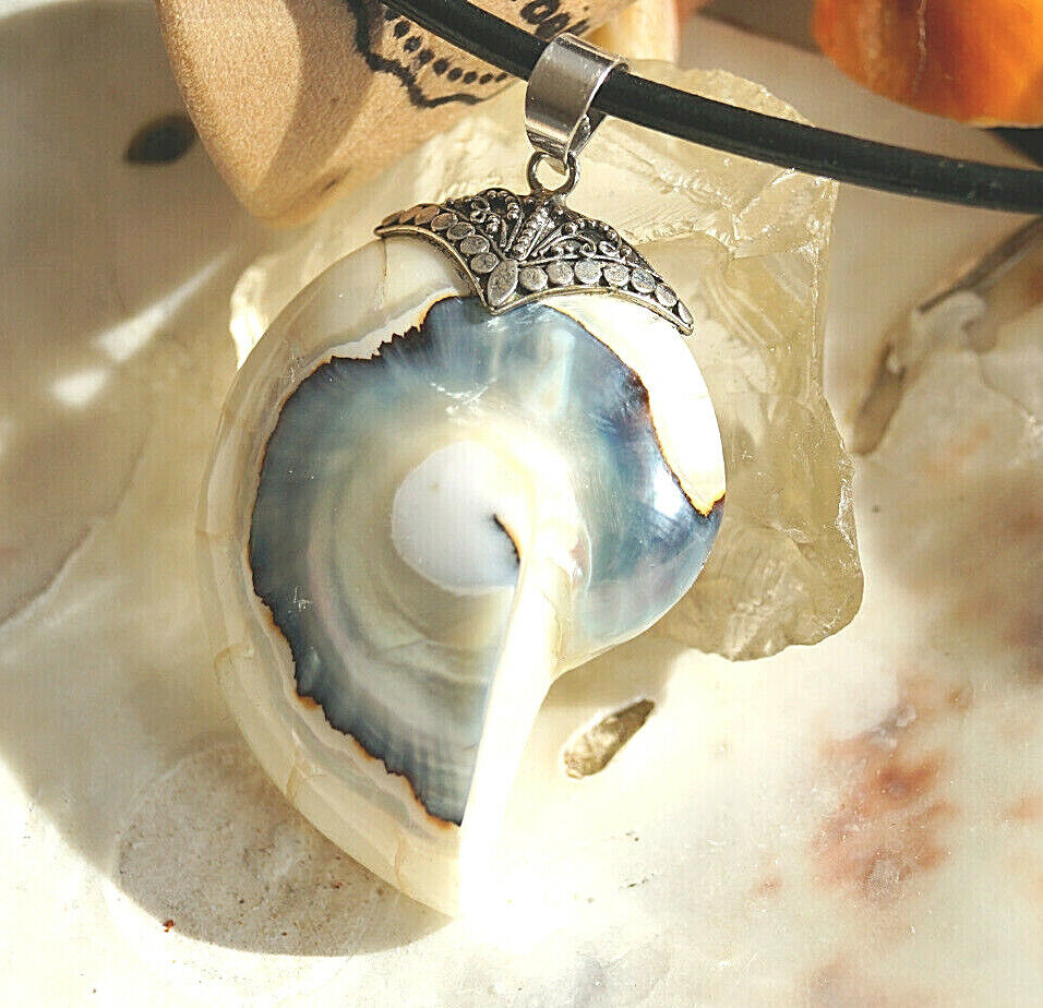 XL Kettenanhänger 925er Silber Nautilus Muschel Fossil Blau Türkis Natur Groß – Bild 10