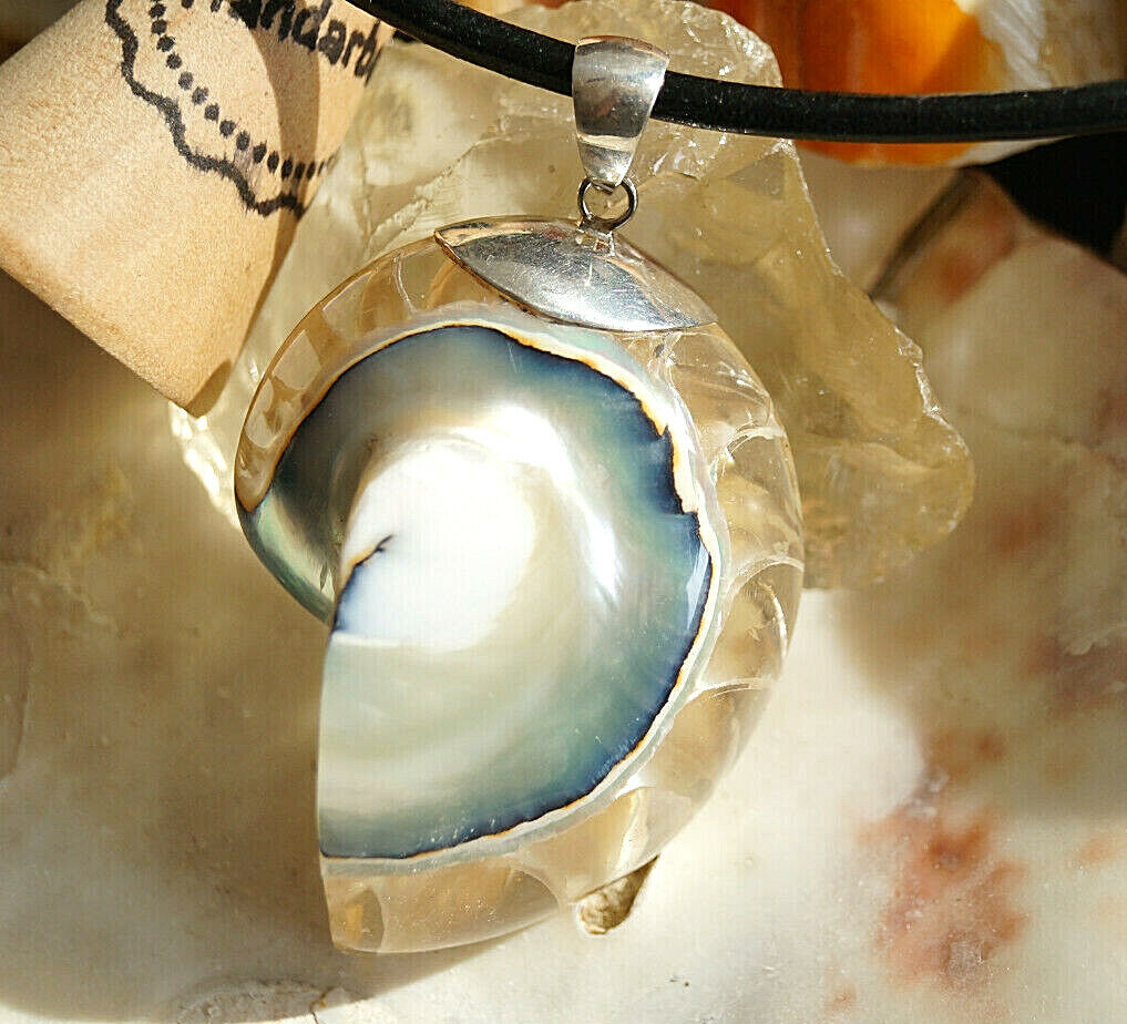 XL Kettenanhänger 925er Silber Nautilus Muschel Fossil Blau Türkis Natur Groß – Bild 7