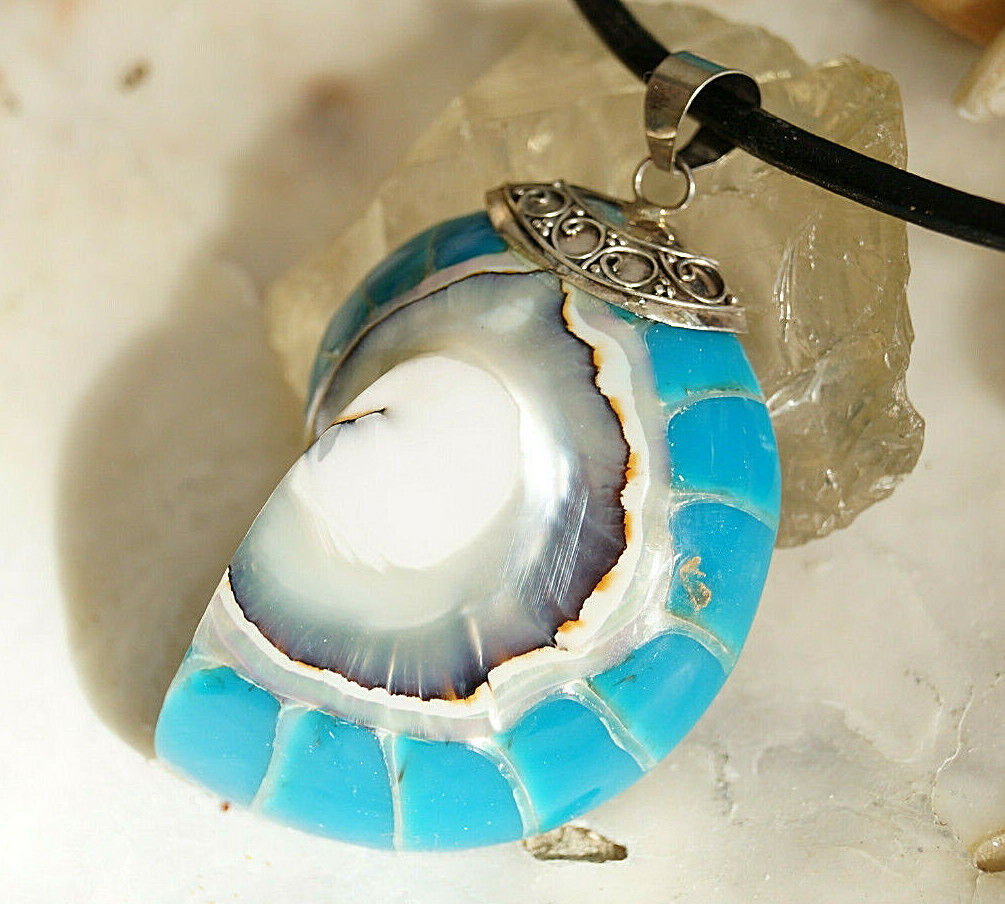XL Kettenanhänger 925er Silber Nautilus Muschel Fossil Blau Türkis Natur Groß – Bild 5