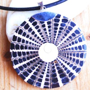 Riesig Groß 7,2 cm Silber Anhänger Ø 6 cm Muschel Perlmutt Shivas Auge Shiva Eye