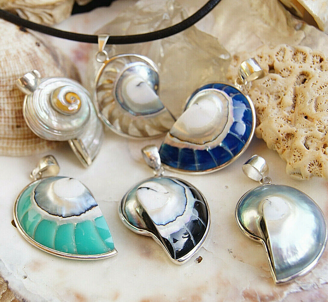 Kettenanhänger 925er Silber Nautilus Muschel Fossil Blau Schwarz Grün Natur – Bild 3