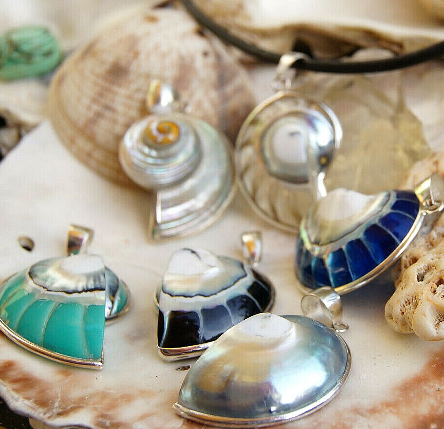 Kettenanhänger 925er Silber Nautilus Muschel Fossil Blau Schwarz Grün Natur – Bild 5