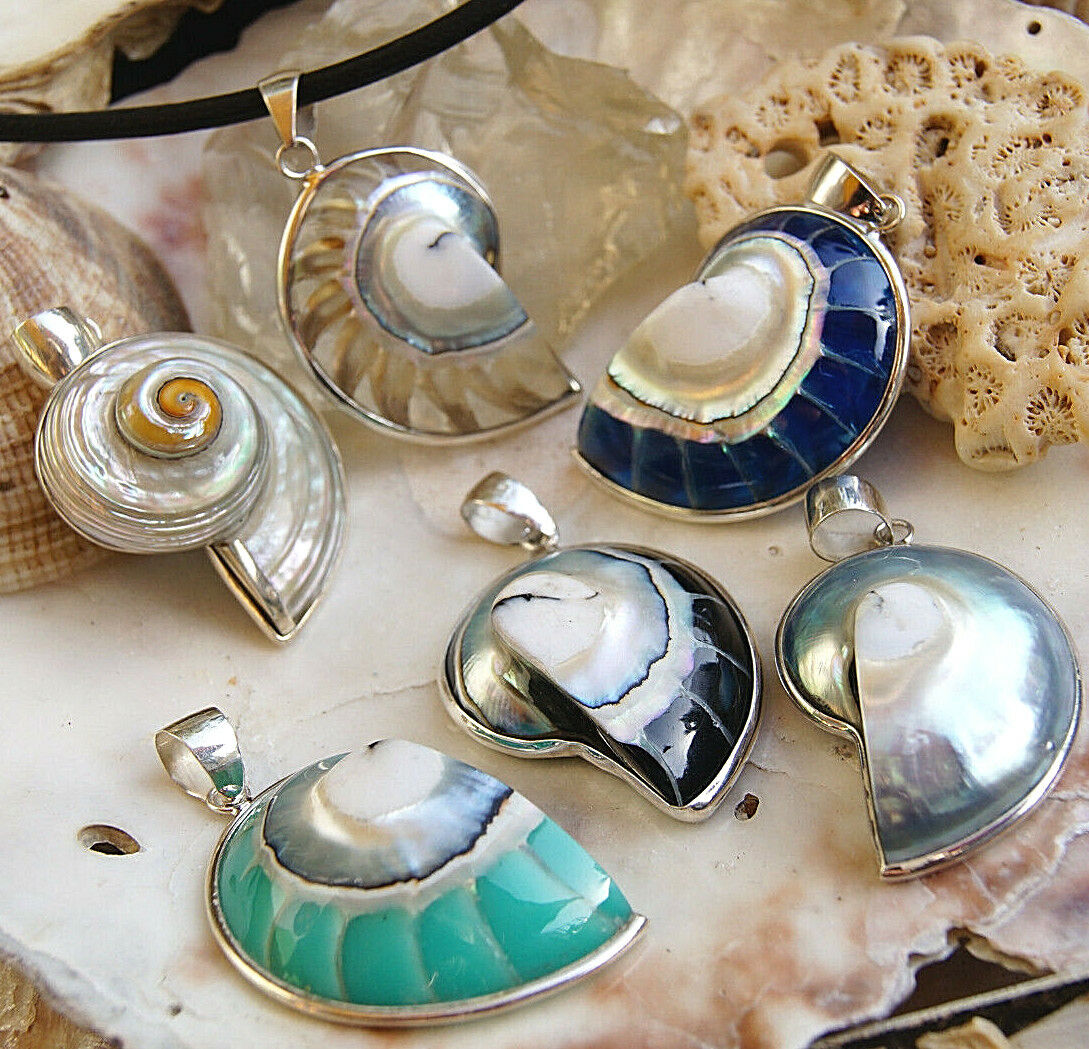 Kettenanhänger 925er Silber Nautilus Muschel Fossil Blau Schwarz Grün Natur
